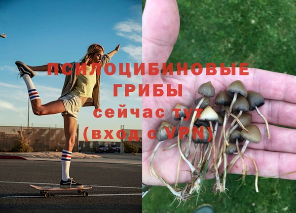 гашиш Горнозаводск