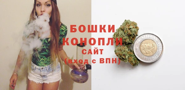молекула духа Горняк