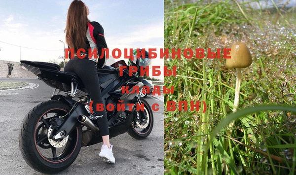 гашиш Горнозаводск