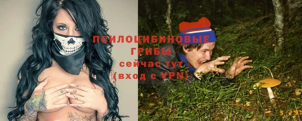 молекула духа Горняк